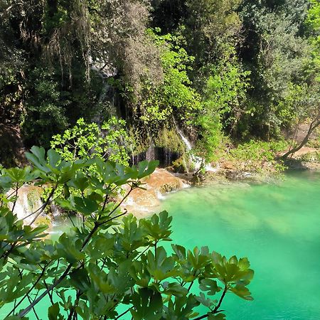 Le Mas Melusine Fayence Εξωτερικό φωτογραφία