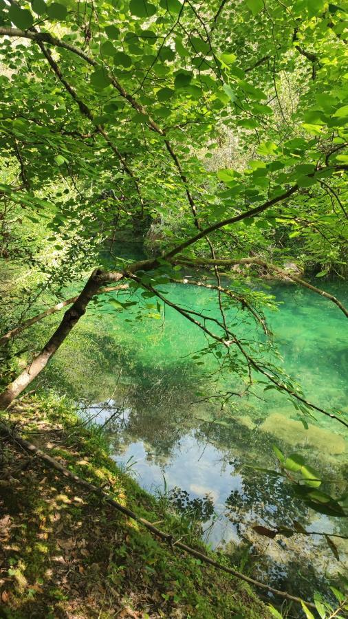 Le Mas Melusine Fayence Εξωτερικό φωτογραφία