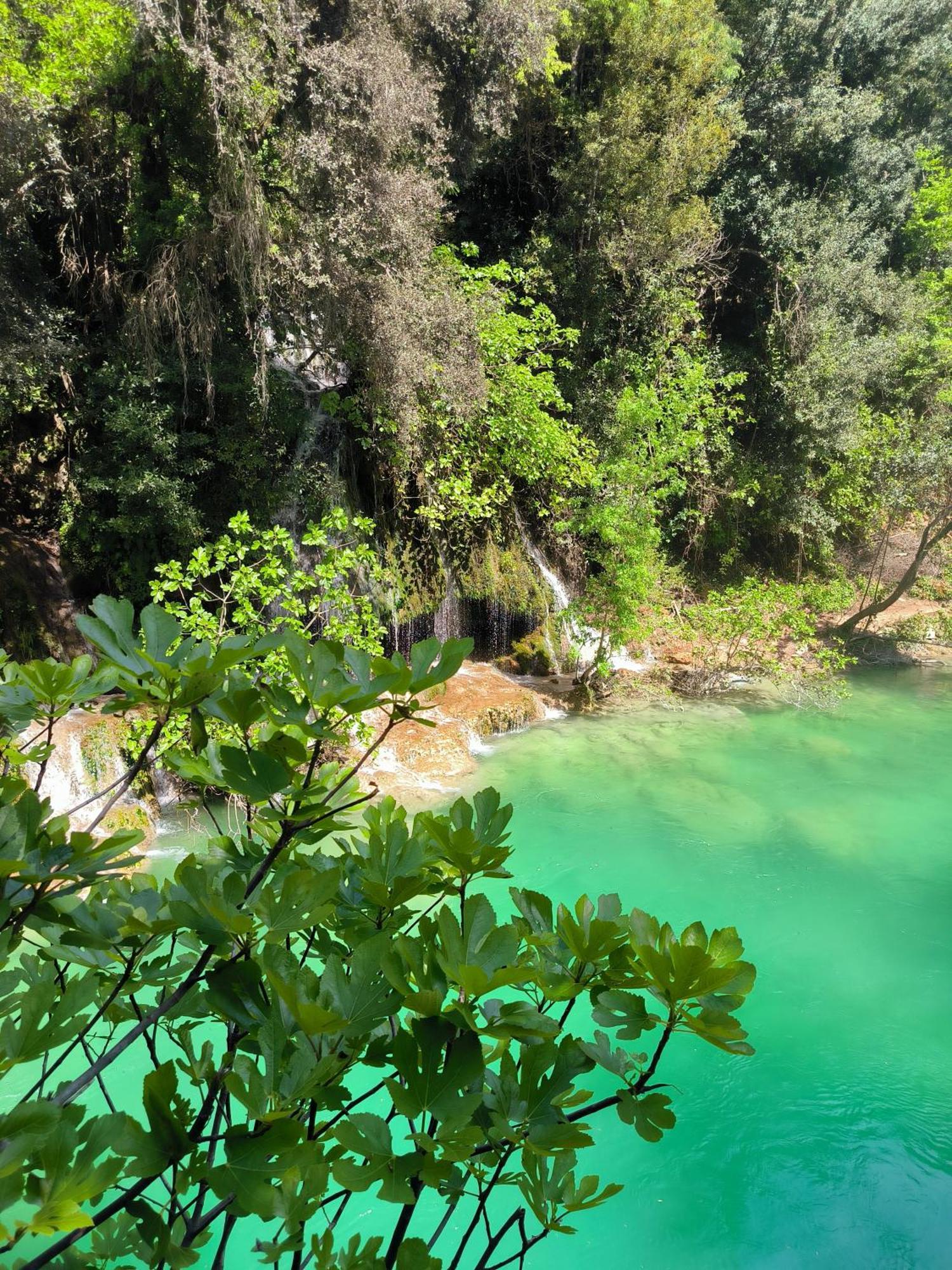 Le Mas Melusine Fayence Εξωτερικό φωτογραφία